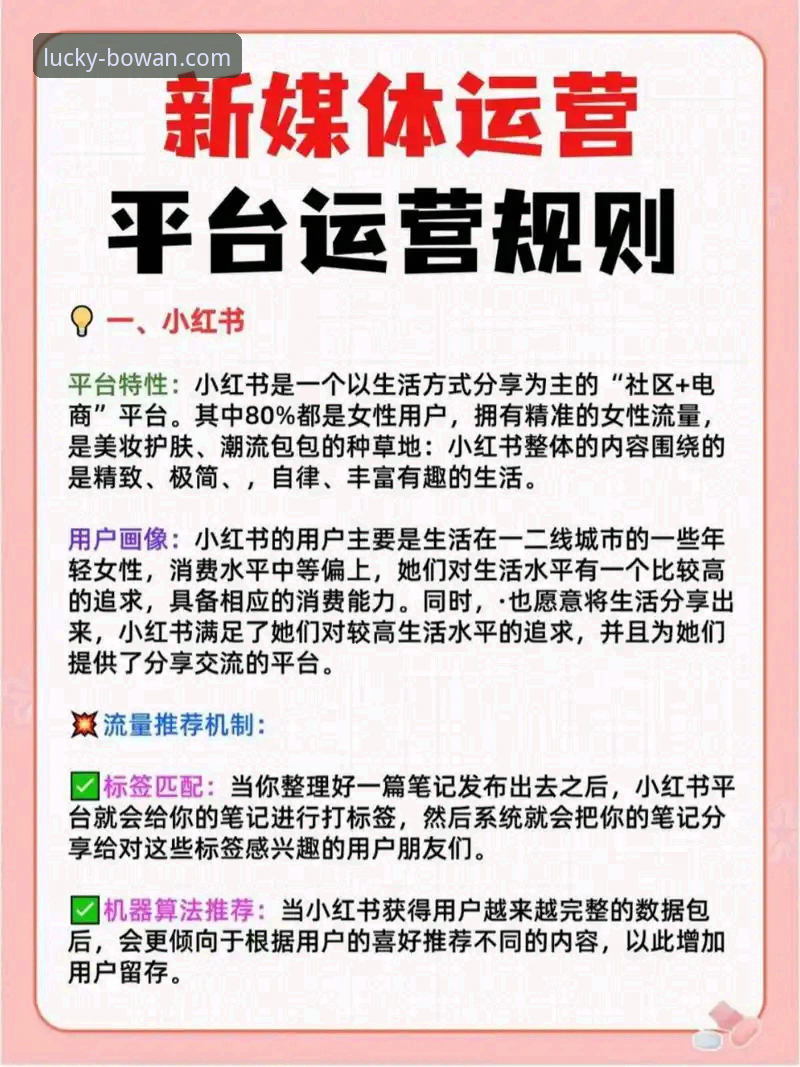 博万娱乐平台新手必备知识：从官网登录到手机版使用全解析